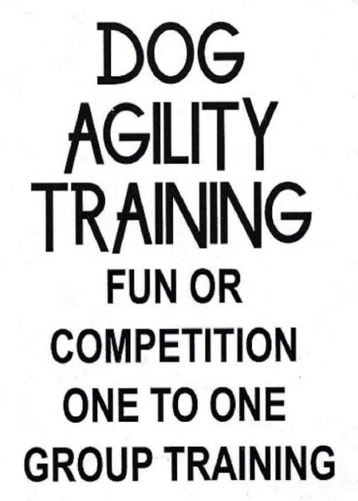 Agility Training